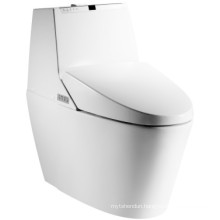 Automatic Ceramic Intelligent Toilet (JN30607)